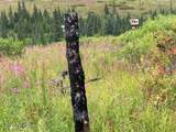 17775 Caribou Hills Rem - Photo 33