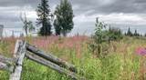 17775 Caribou Hills Rem - Photo 34