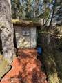 51 Twelve Mile Road - Photo 38