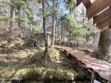 51 Twelve Mile Road - Photo 44