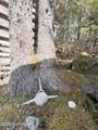 51 Twelve Mile Road - Photo 45