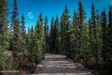 17370 Chena Hot Springs Road - Photo 38