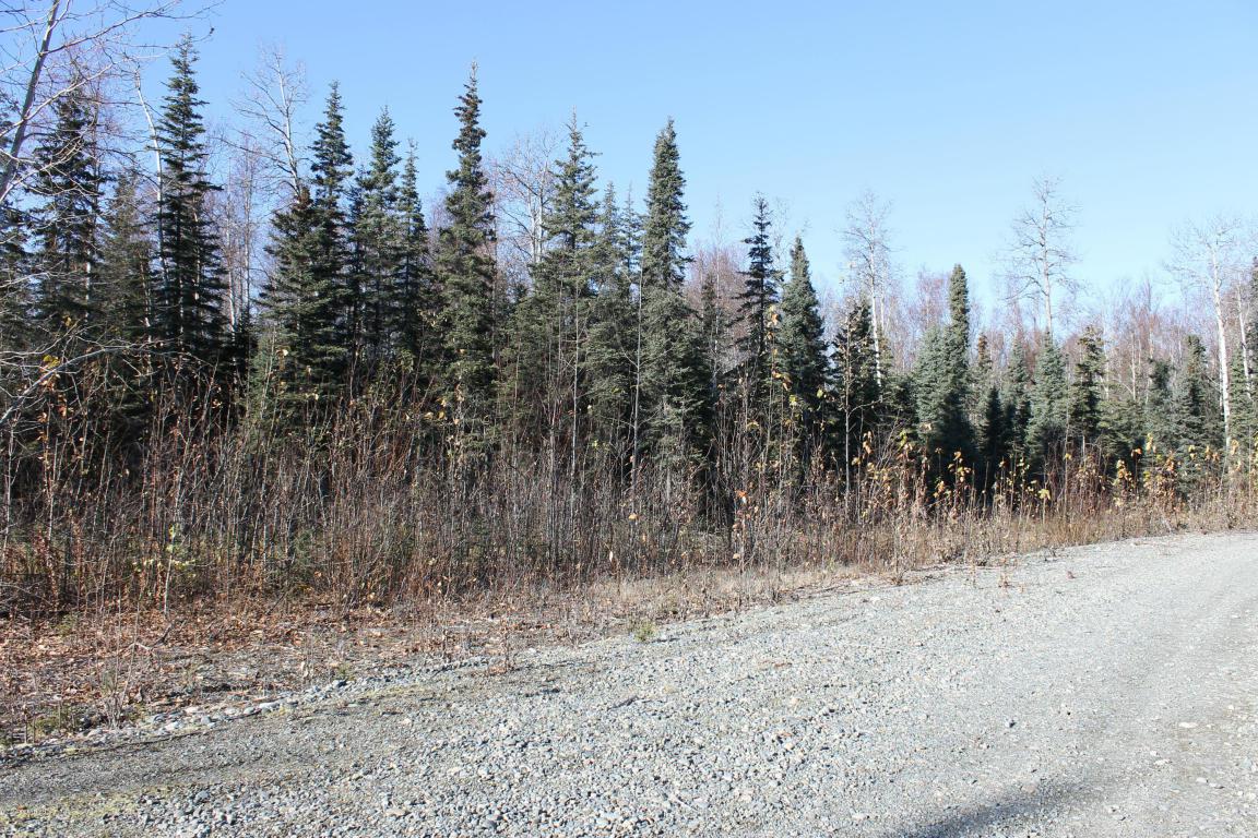 69282 Mckinley Vista Loop - Photo 1
