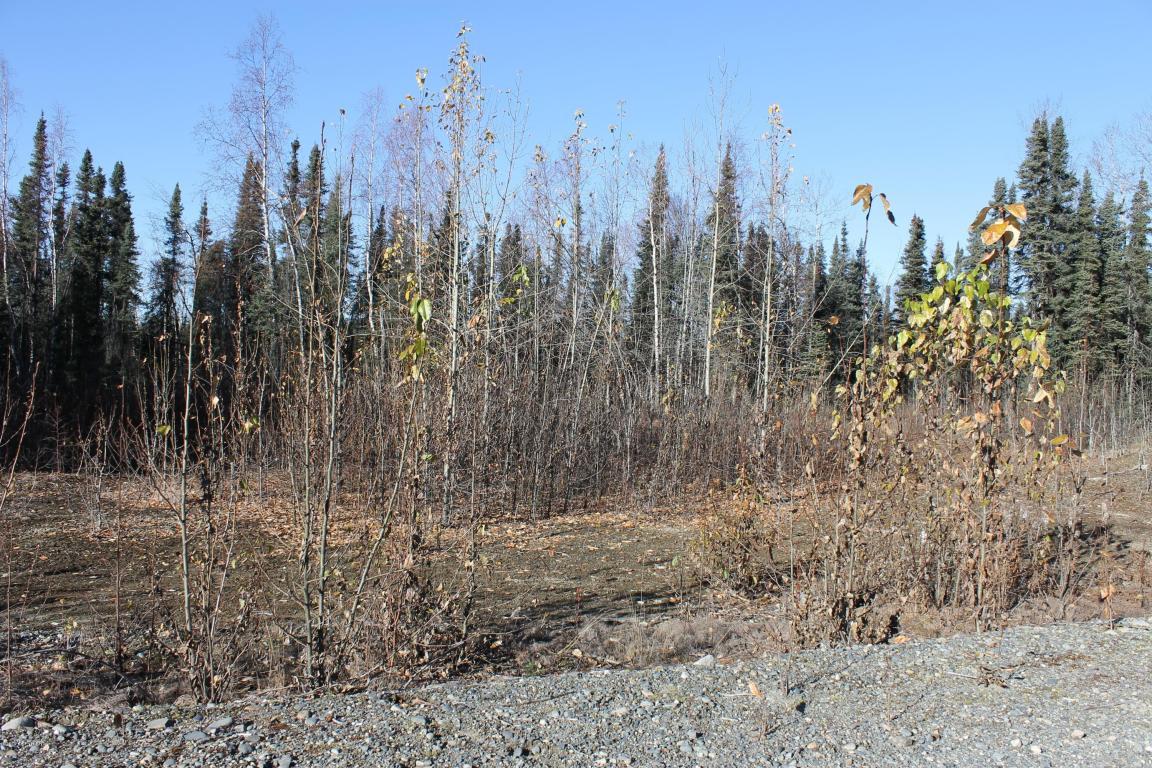 68742 Denali Vista Drive - Photo 1