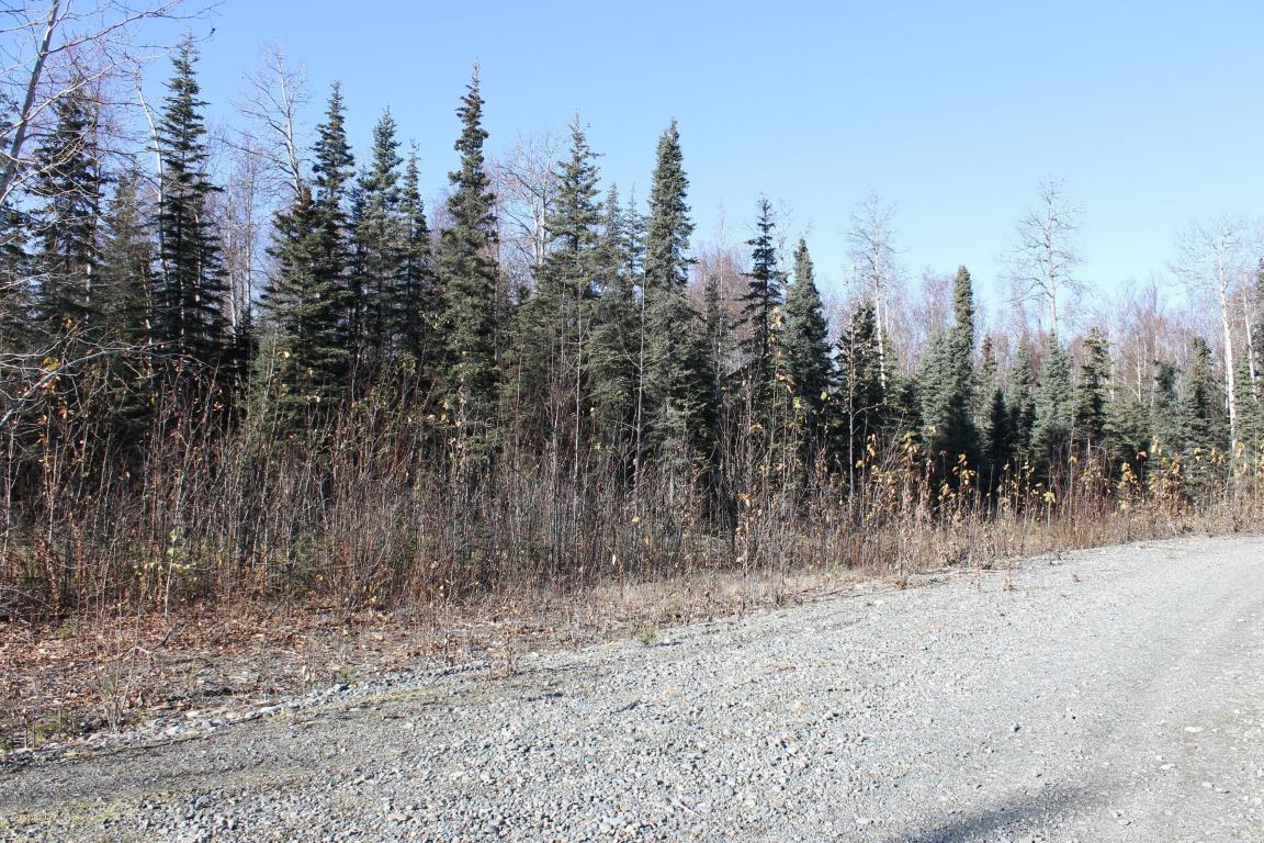 69046 Mckinley Vista Loop - Photo 1