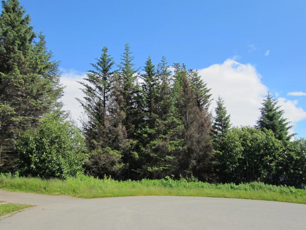 3720 Sitka Rose Circle - Photo 1