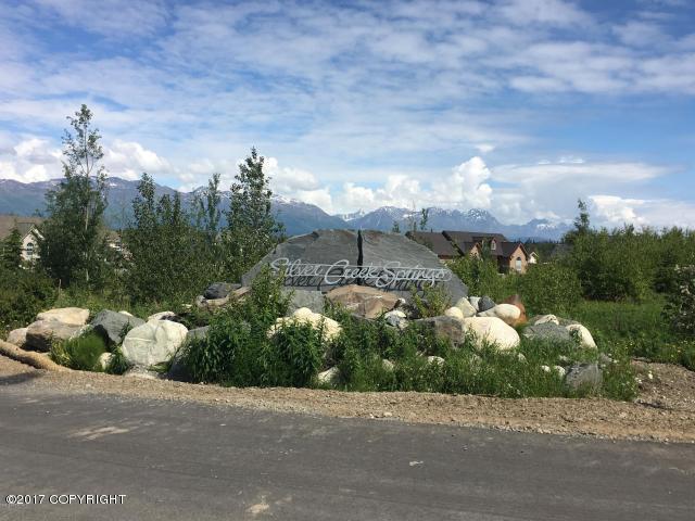 9330 Coho Circle - Photo 1