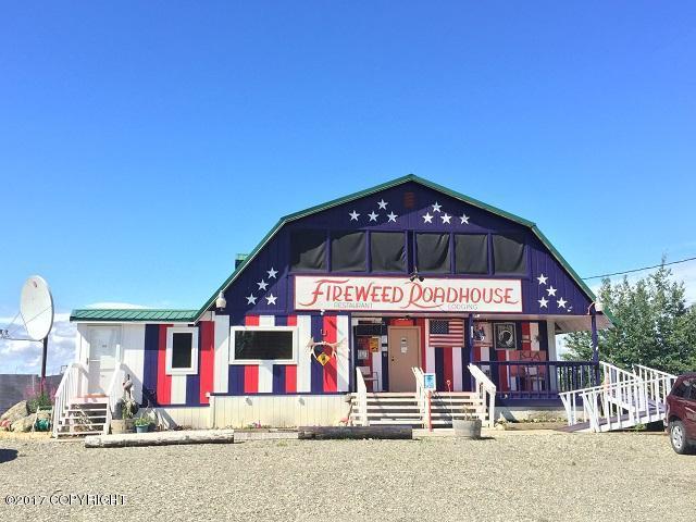 Mile 288.5 Parks Highway - Photo 1