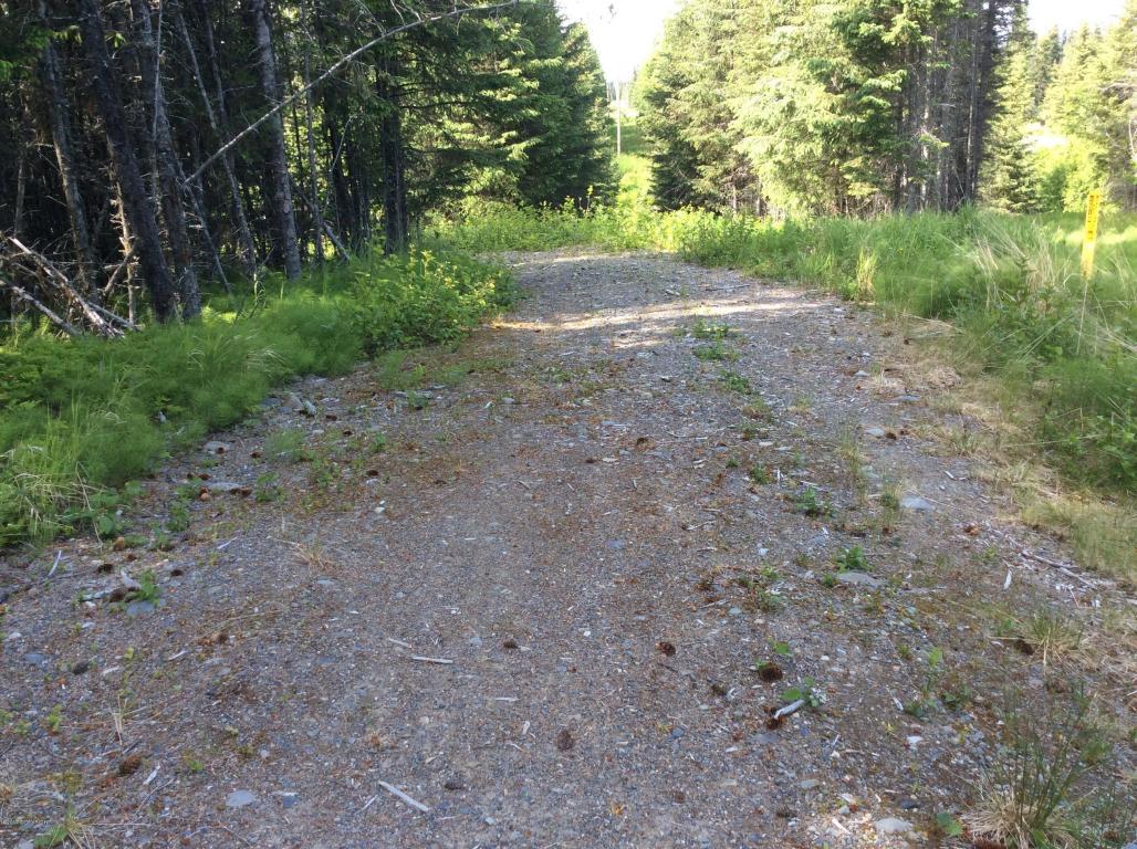 35365 Old Sterling Highway - Photo 1