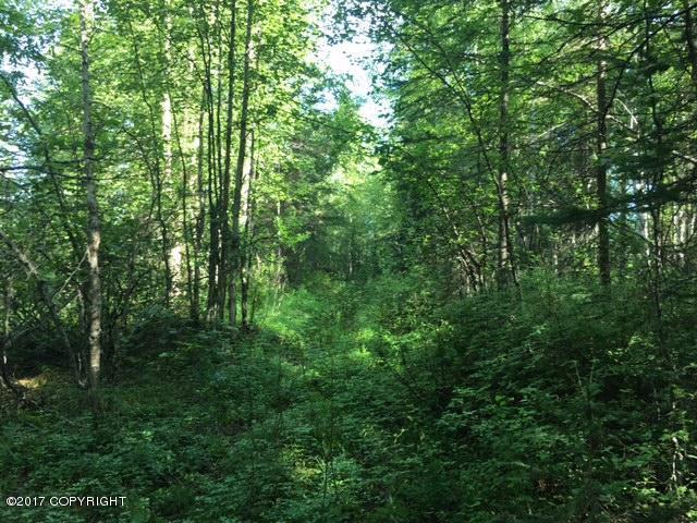 18775 Willow Fishhook Road - Photo 1