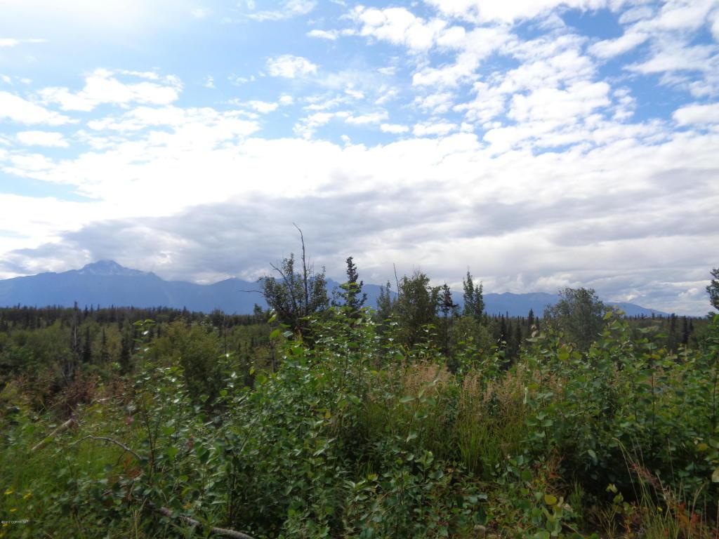 1800 Low Road - Photo 1