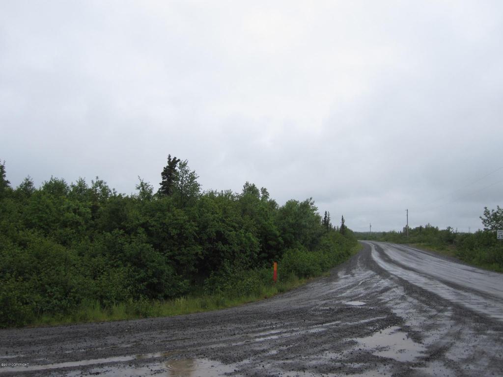 L7 B3 King Salmon Creek Acres - Photo 1