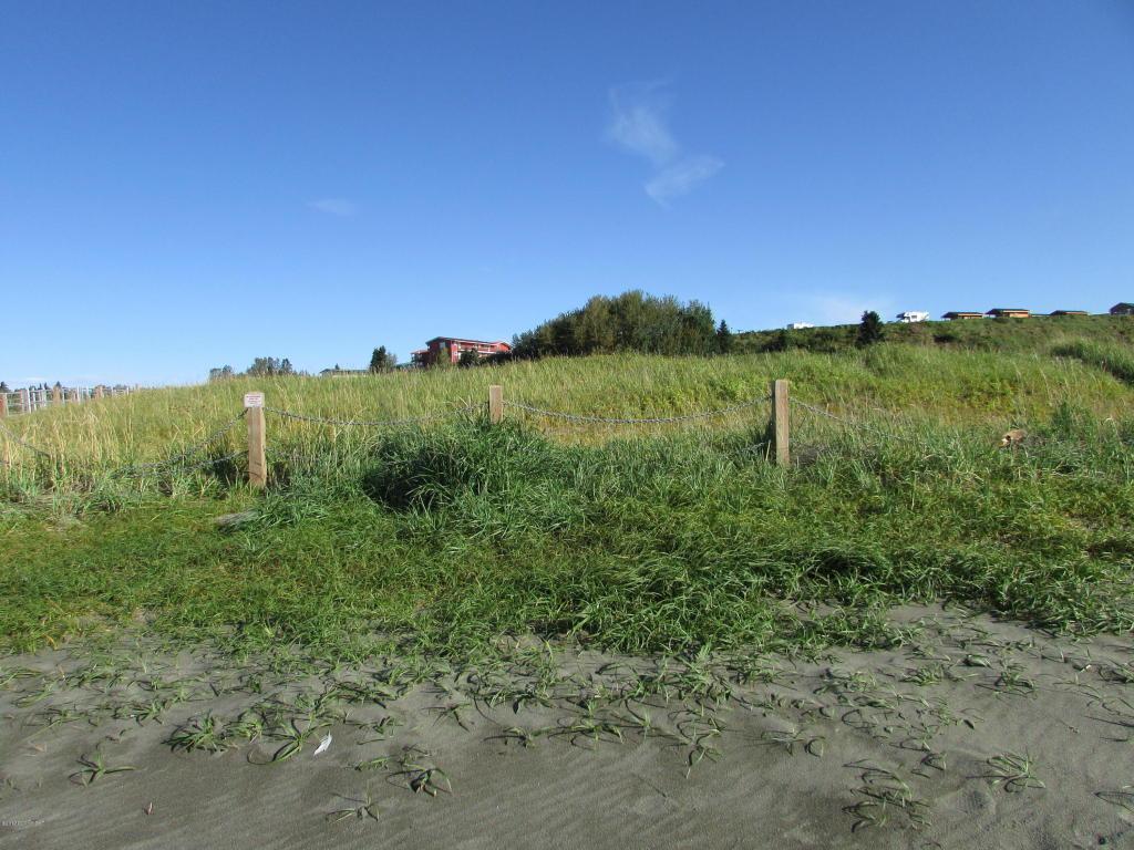1012 Kenai Avenue - Photo 1