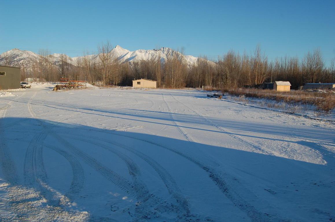 1980 Eklutna Street - Photo 1