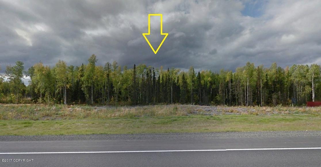 69222 Parks Highway - Photo 1