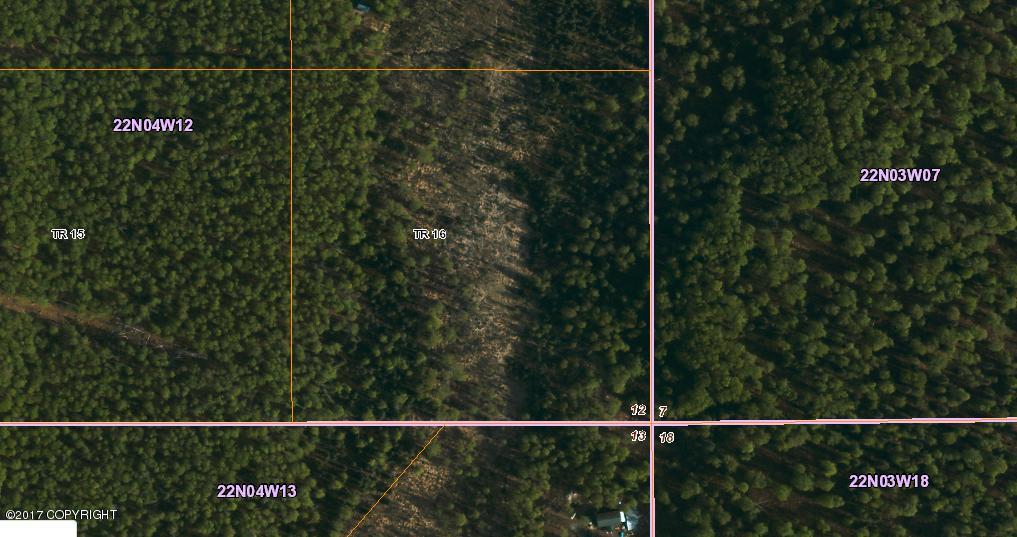 Tr 16 Whopper Avenue - Photo 1