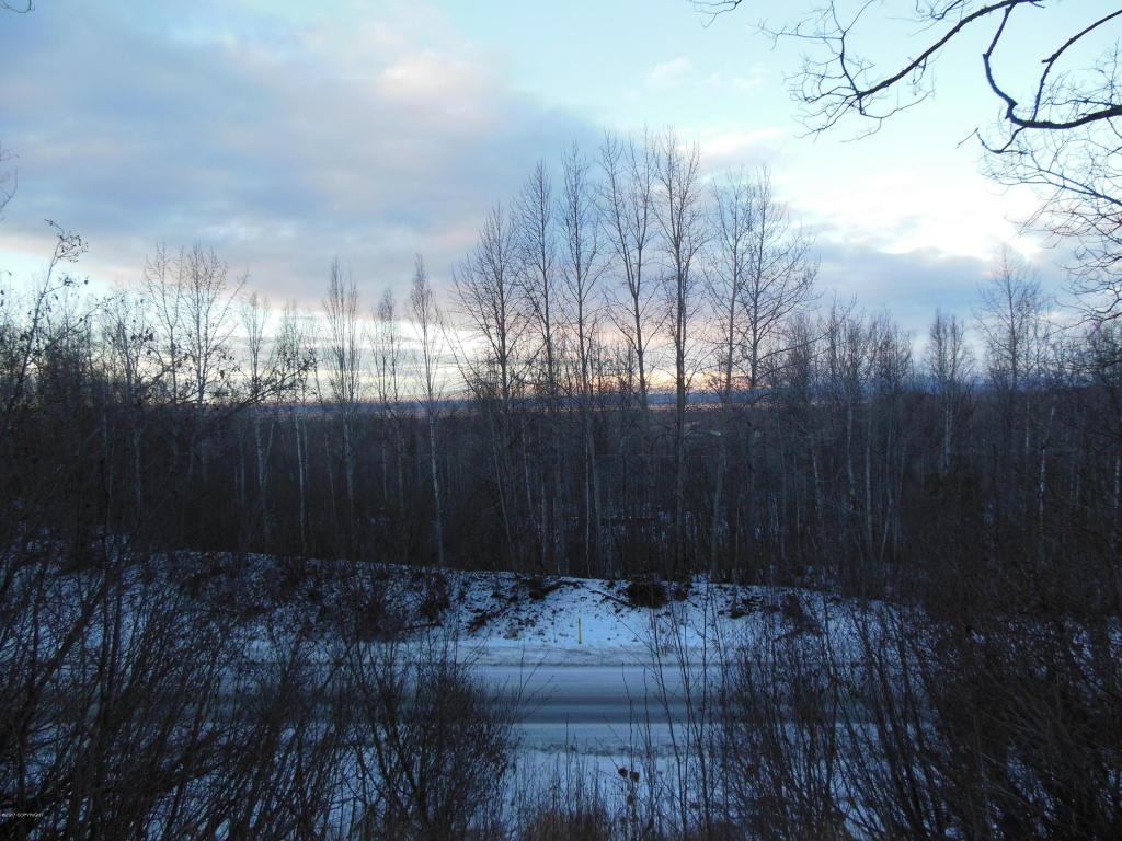 Tract A B1 Old Glenn Highway - Photo 1