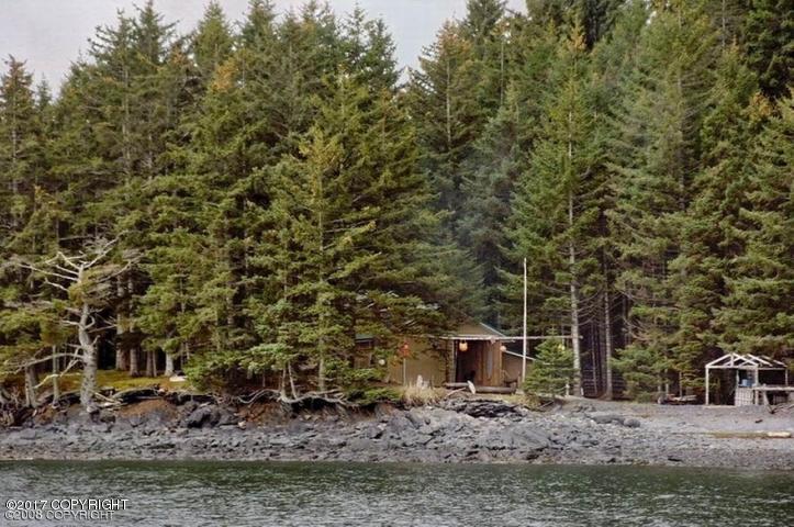 000 Raspberry Island - Photo 1