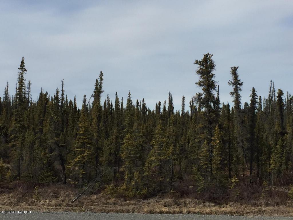 Mi 184 Glenn Highway - Photo 1