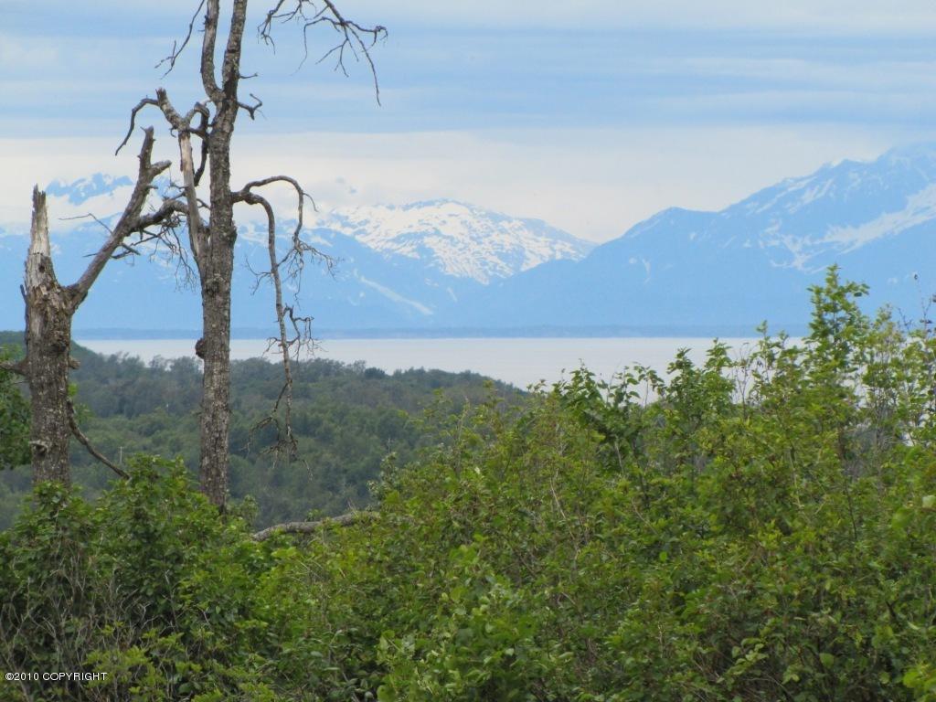 L21 B2 Seascape Avenue - Photo 1