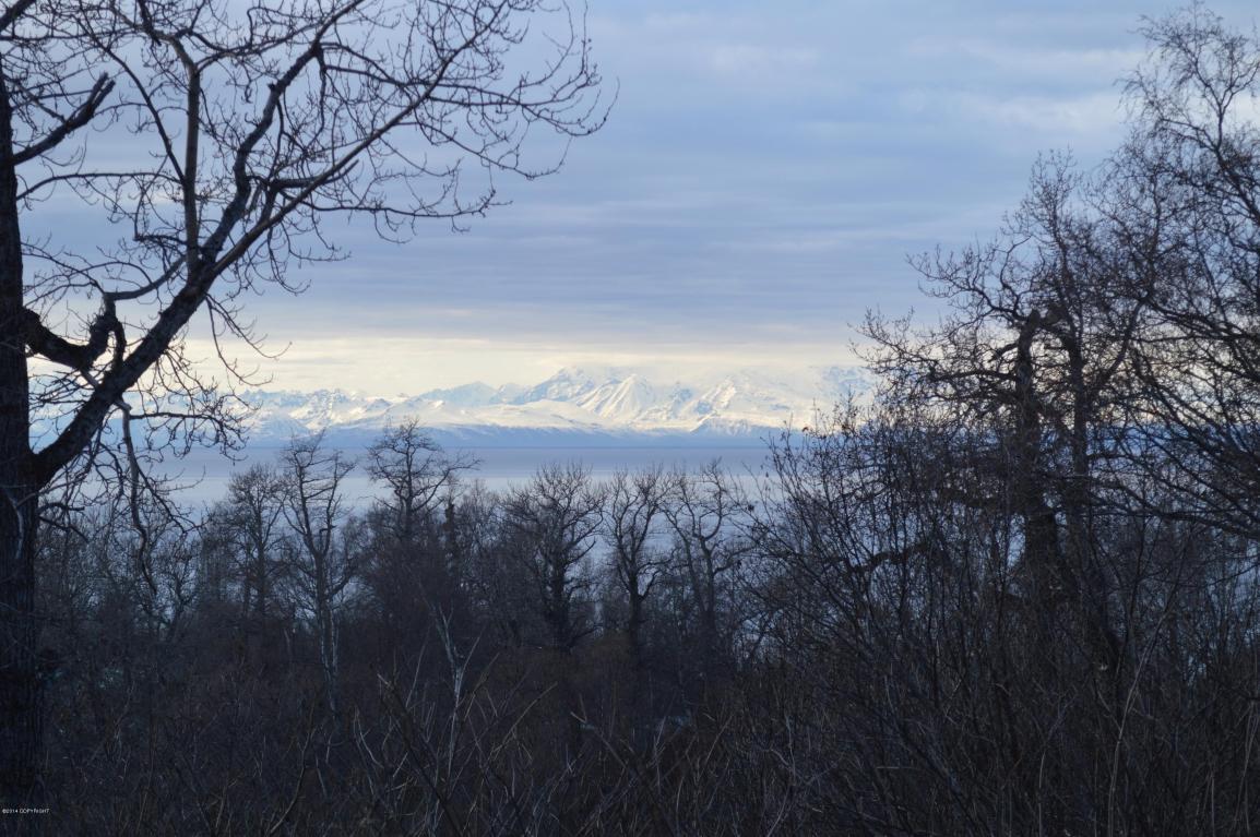 L40 B1 Scenic View Loop - Photo 1