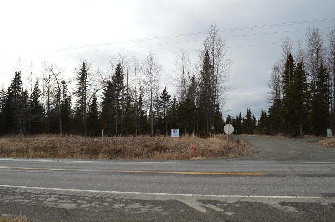 10675 Sterling Highway - Photo 1