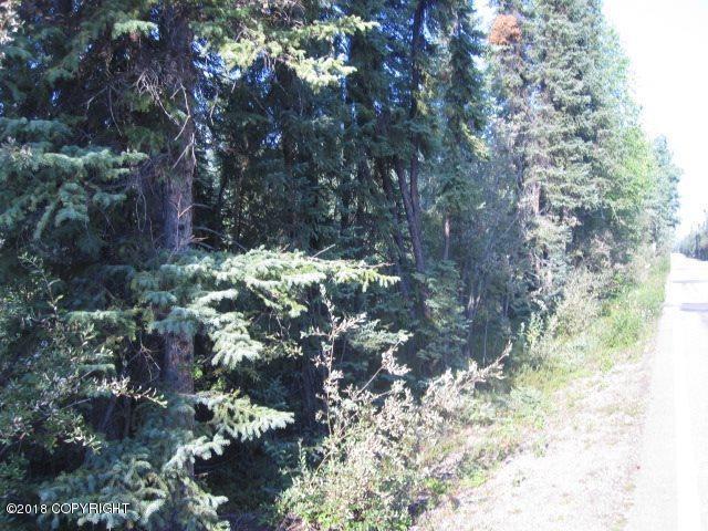 1303 Harding Lake - Photo 1