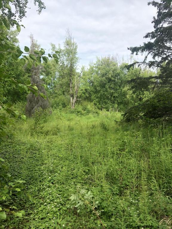 17009 4th Avenue - Photo 1