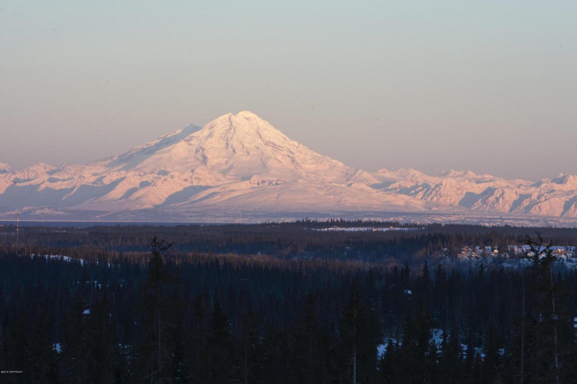 67466 Endless View Loop - Photo 1