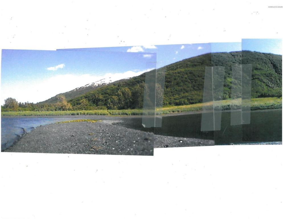 75-147 Ugak Bay - Photo 1
