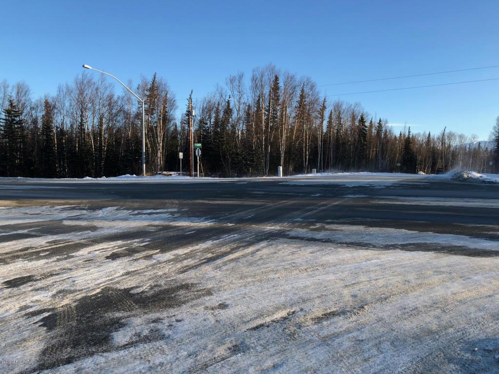 L2 Wasilla-Fishhook Road - Photo 1
