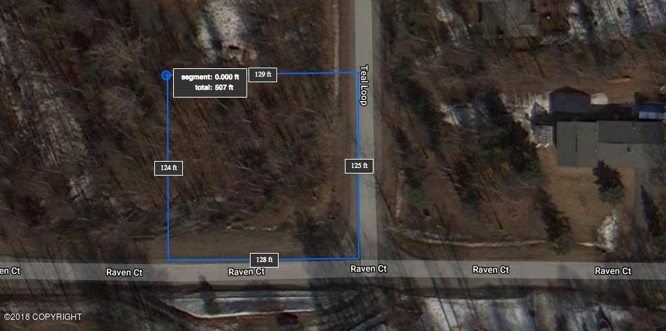 NHN Teal Loop - Photo 1