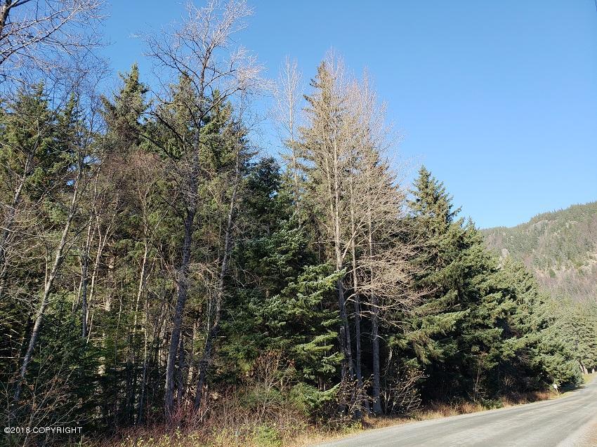 L4 4th Avenue - Photo 1