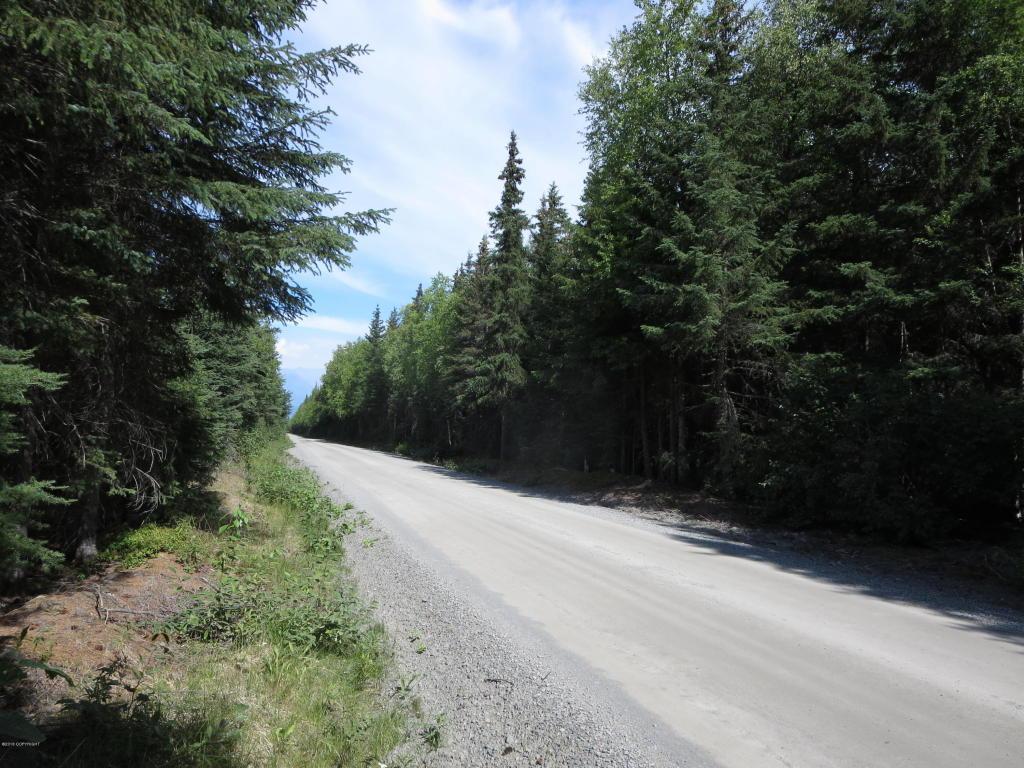 Tr B2F Resurrection Creek Road - Photo 1