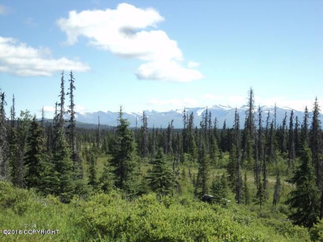 L15 Caribou Homestead Loop - Photo 1