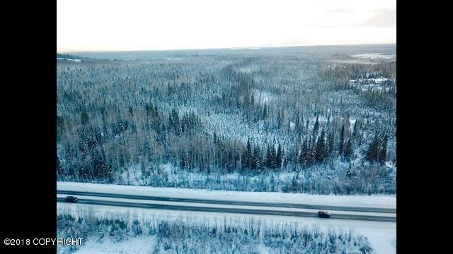nhn Chena Hot Springs Road - Photo 1