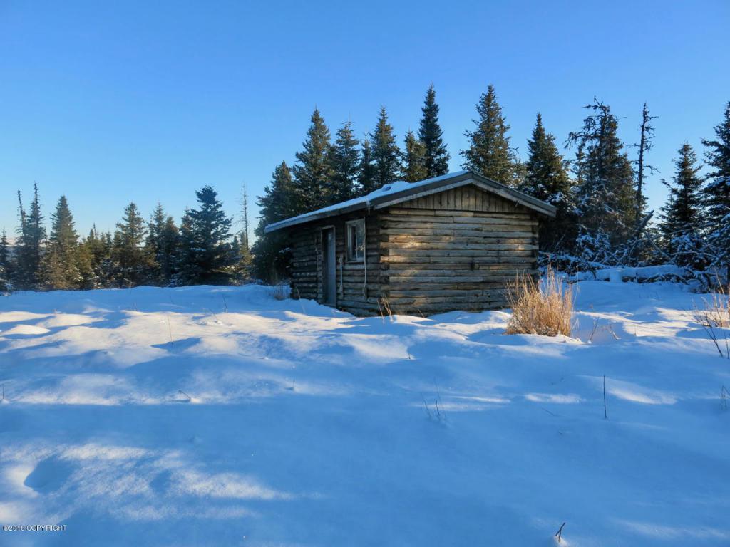 28748 Butlers Road - Photo 1