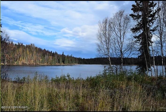 48748 Gruber Road - Photo 1