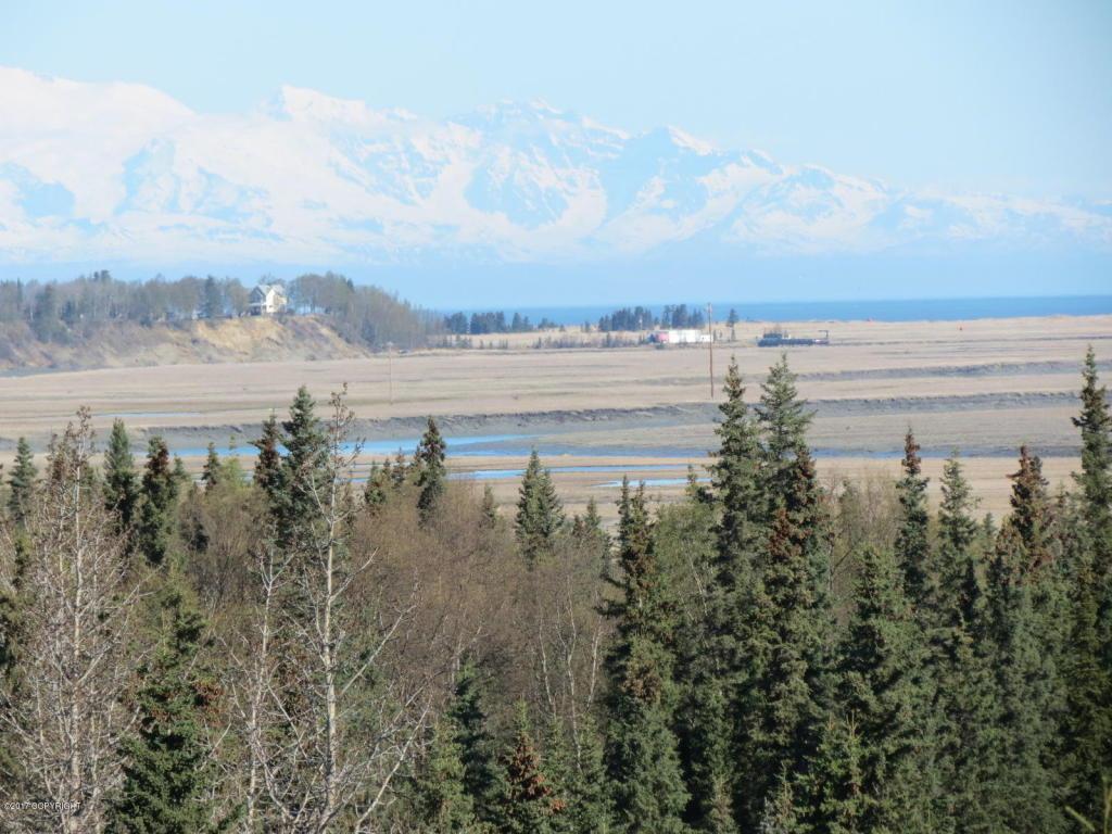 25015 Arctic Fox Road - Photo 1