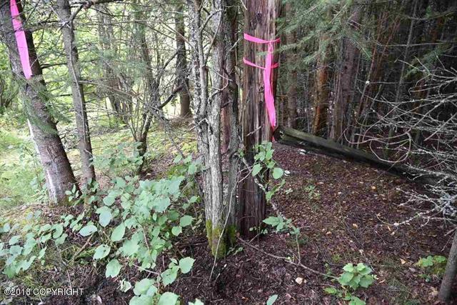 L722 Logan Road - Photo 1