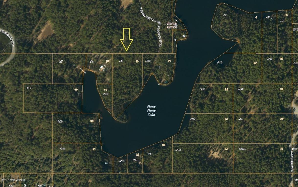 Lt A9 Never-Never Lake - Photo 1