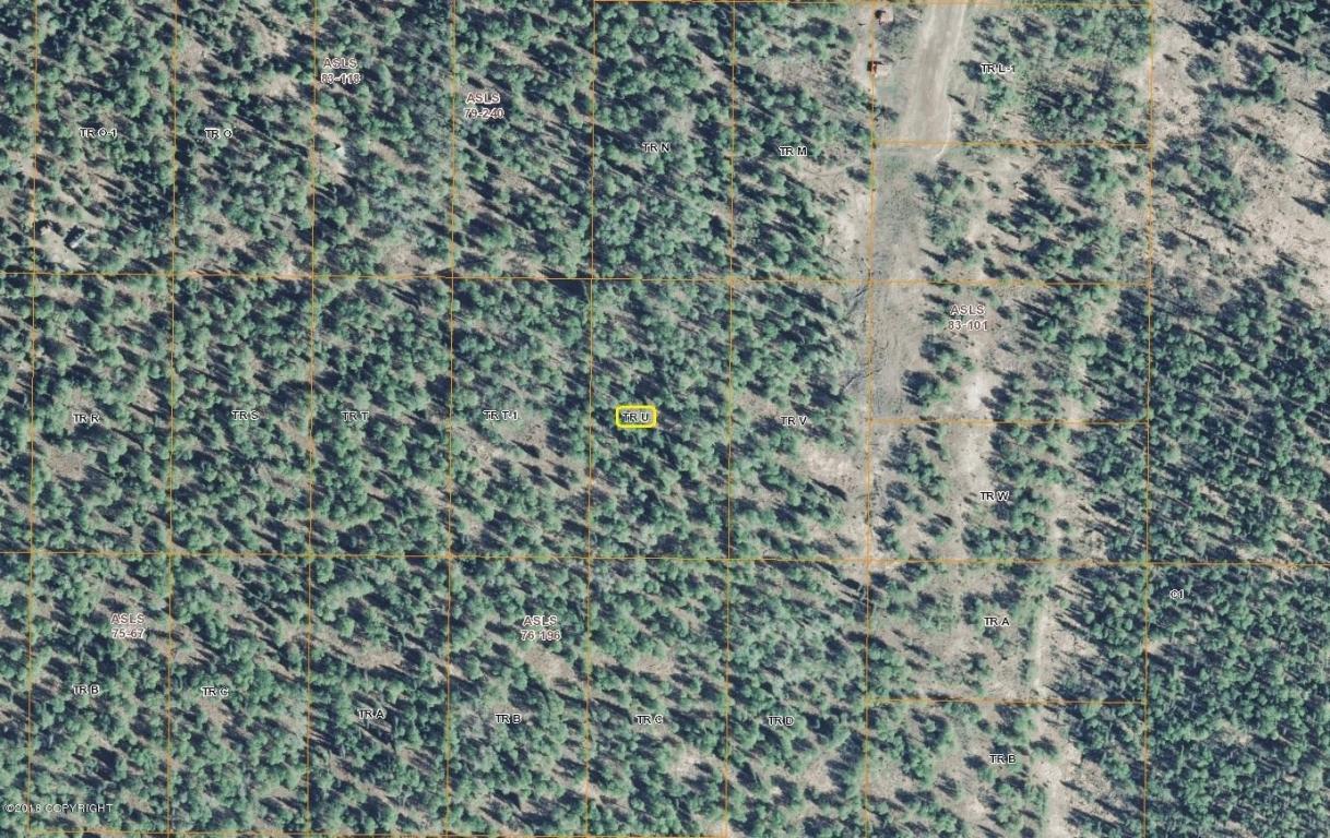 Tr U Granite Creek - Photo 1
