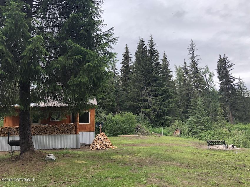 L1-4 Porcupine Subdivision Road - Photo 1