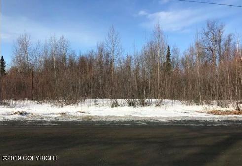 2390 Togiak Avenue - Photo 1