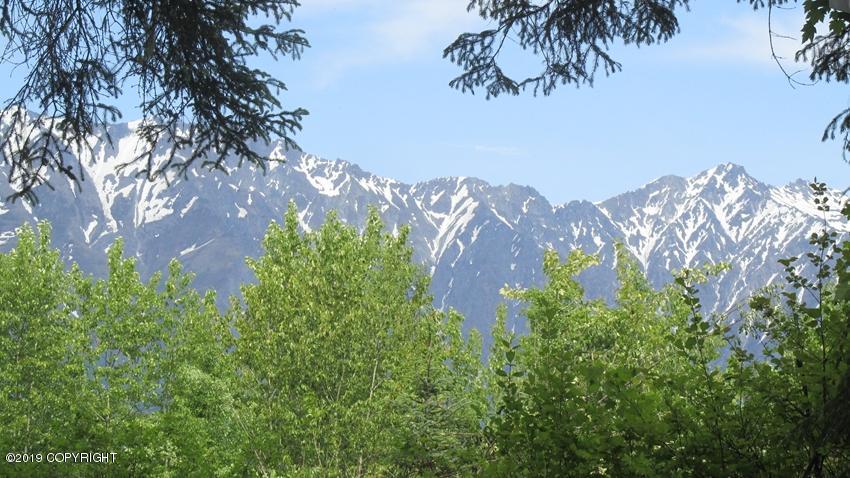 L1 Chilkat Lake Road - Photo 1