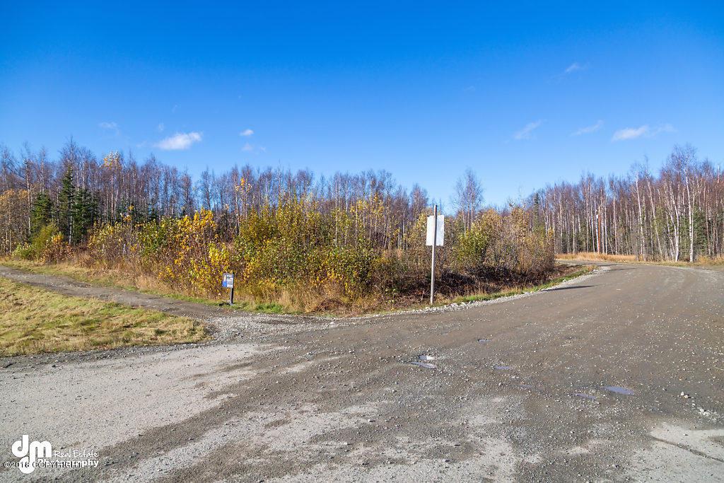 7938 Knik Goose Bay Road - Photo 1