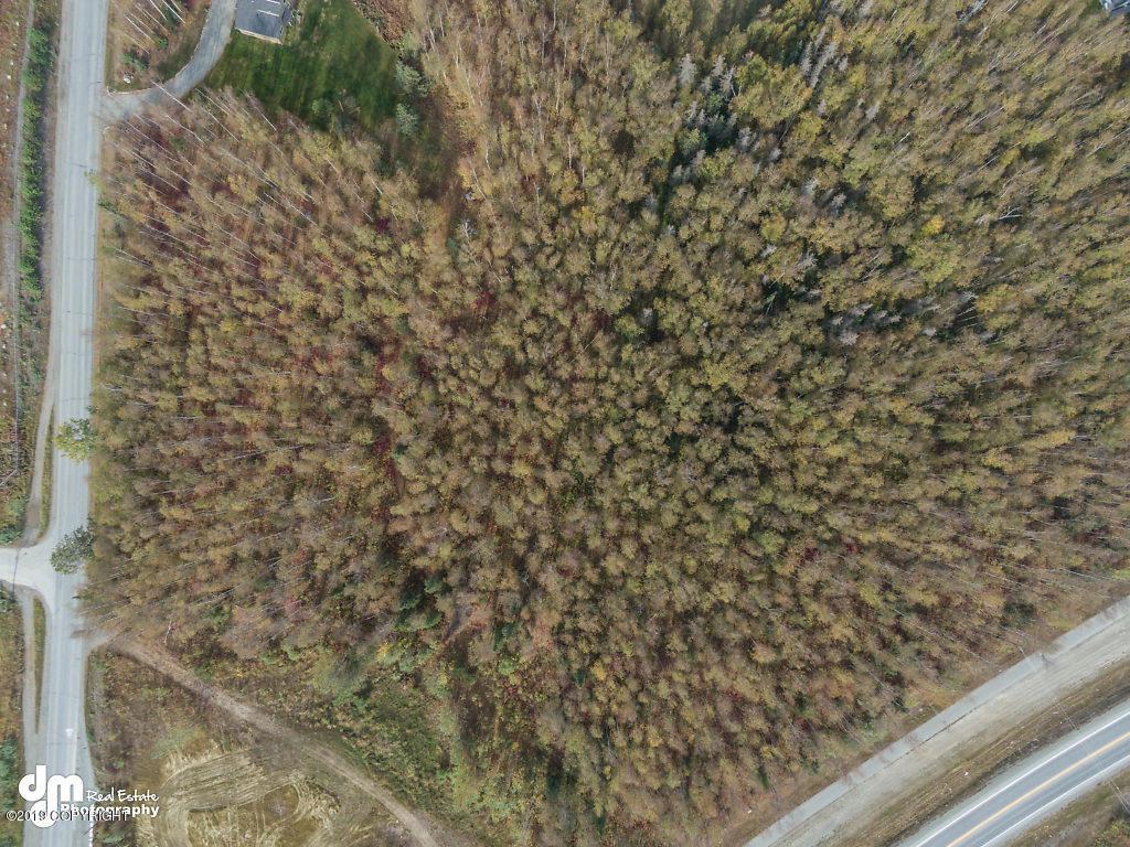 3830 Green Birch Lane - Photo 1