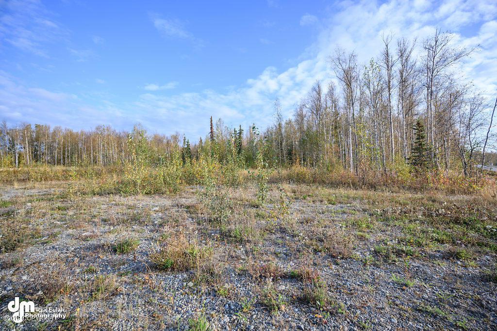 4650 Woods Avenue - Photo 1