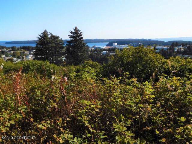 902 Pillar Mountain Road - Photo 1