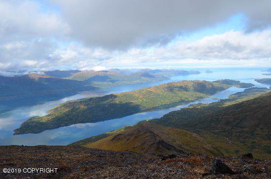 L3 Amook Island - Photo 1